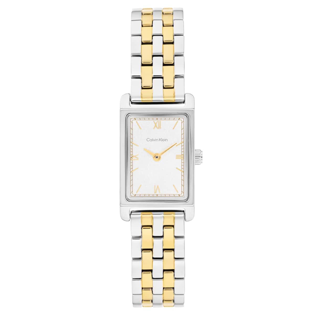 Calvin Klein CK25100199 Kadın Kol Saati