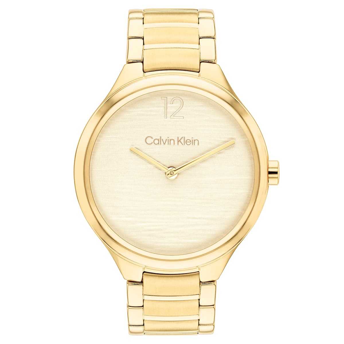 Calvin Klein CK25100048 Kadın Kol Saati