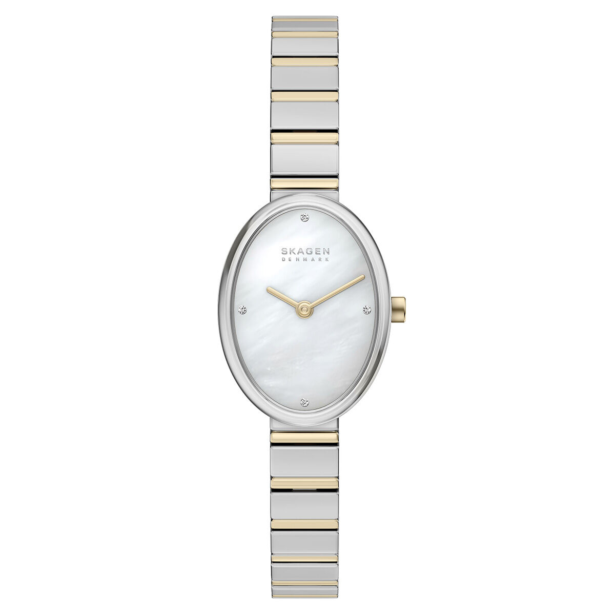 Skagen SKW3198 Kadın Kol Saati