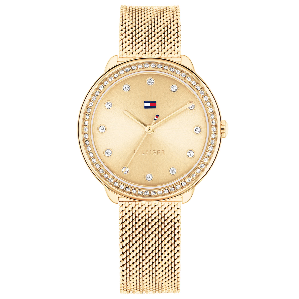 Tommy Hilfiger Demi TH1782699 Women’s Watch