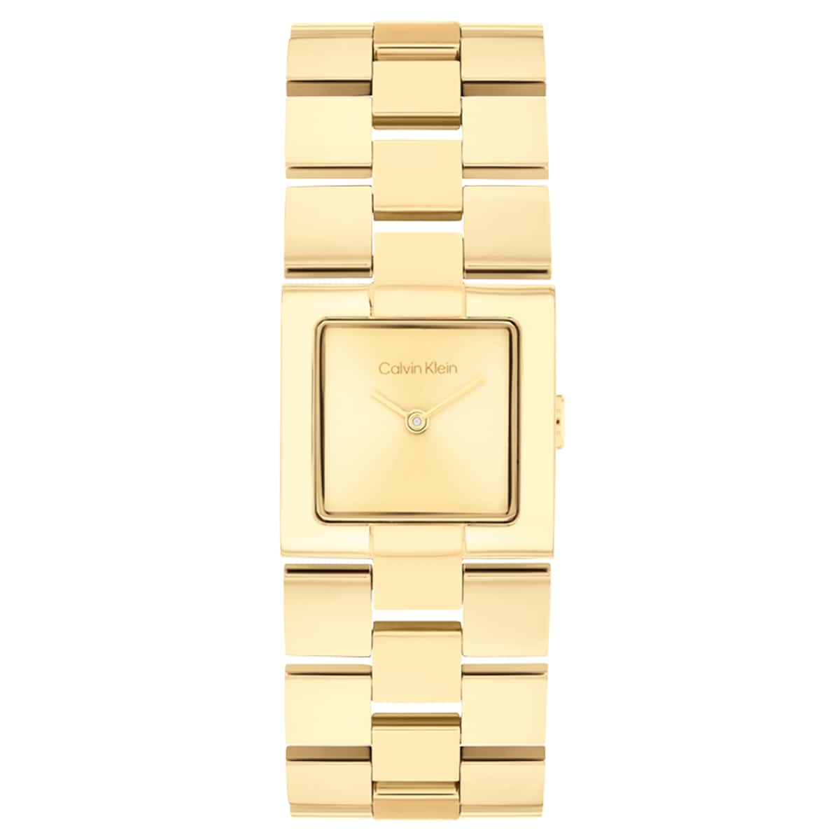 Calvin Klein CK25100089 Kadın Kol Saati