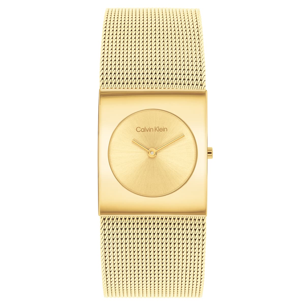 Calvin Klein CK25100062 Kadın Kol Saati