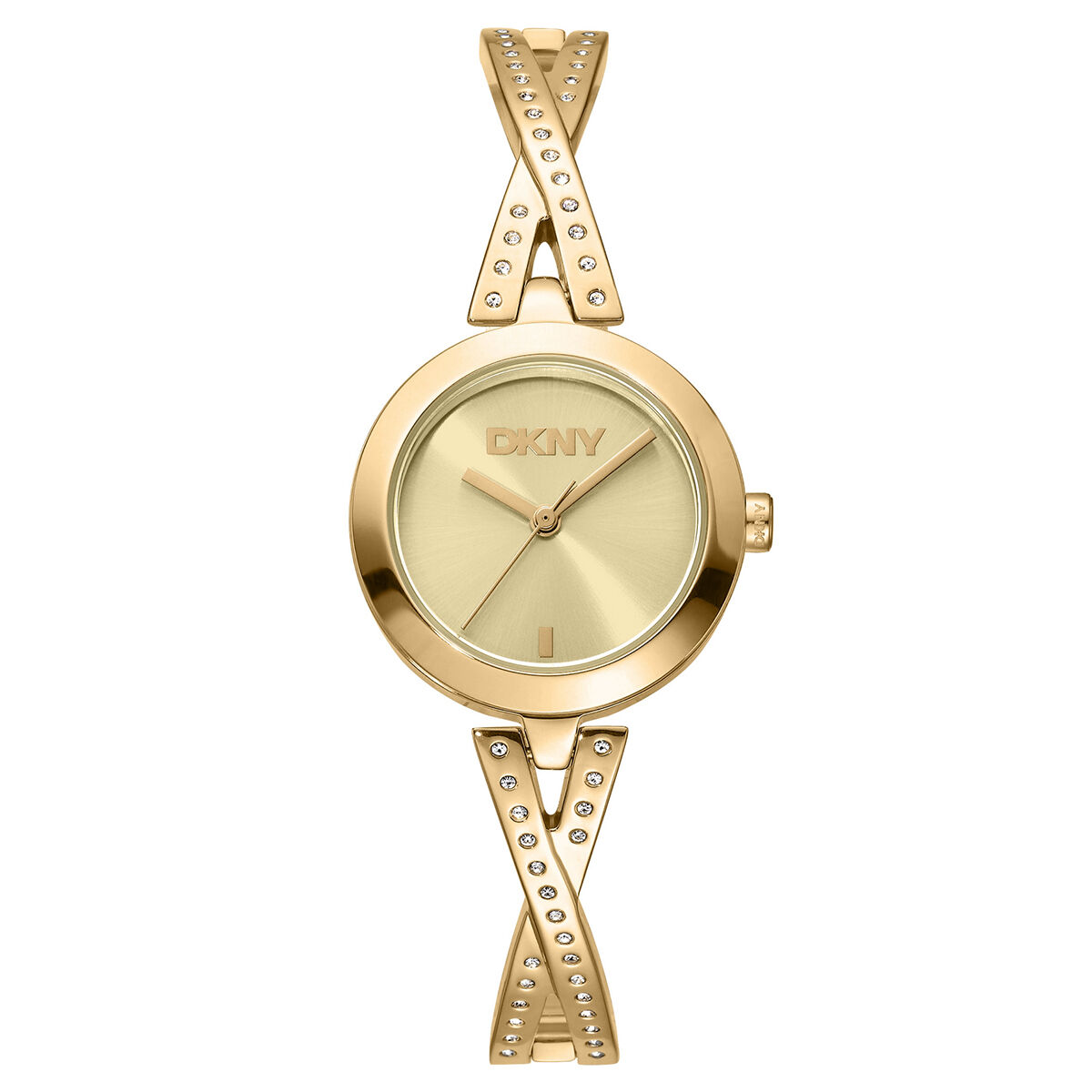 DKNY DK1L170M0225 Kadın Kol Saati