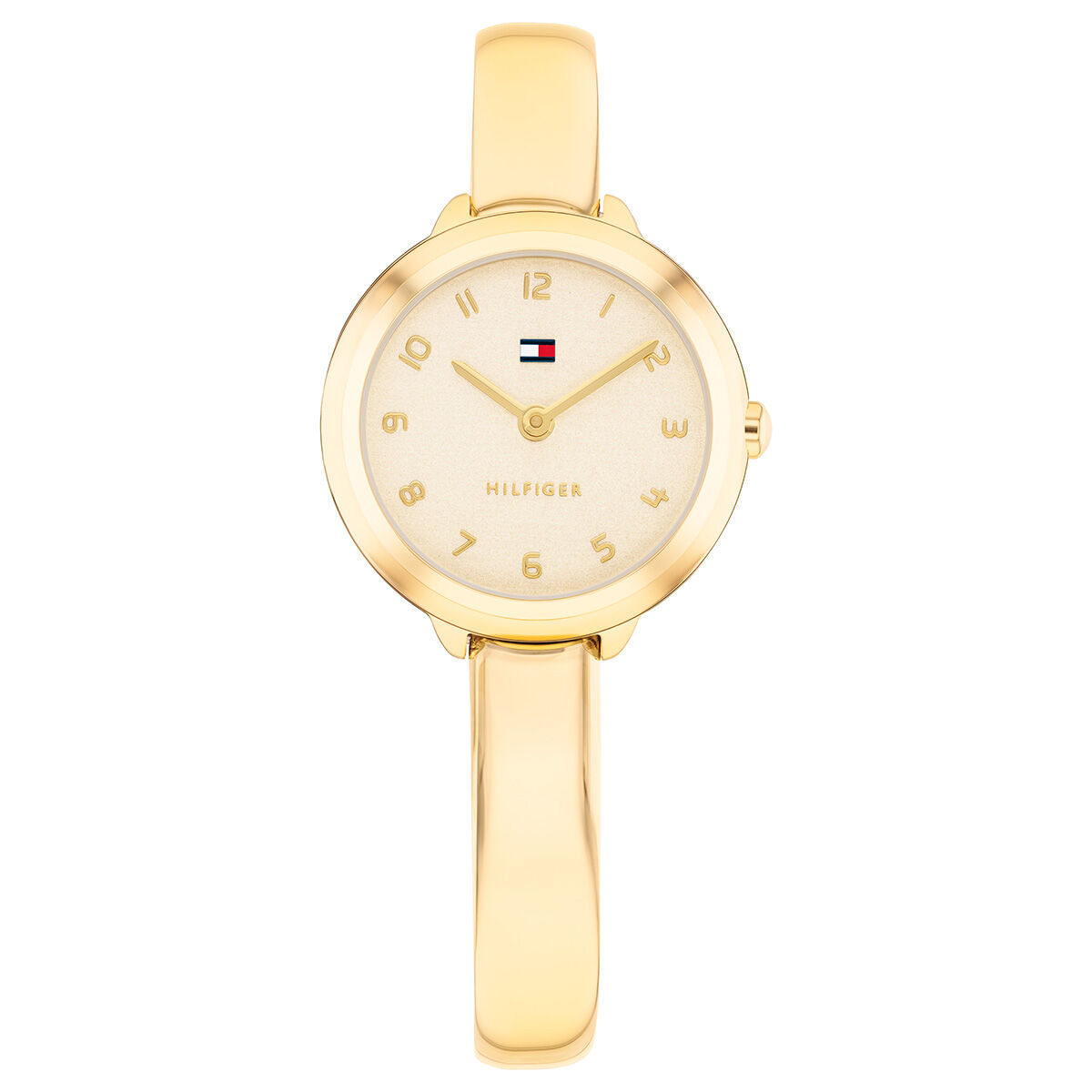 Tommy Hilfiger TH1782895 Kadın Kol Saati