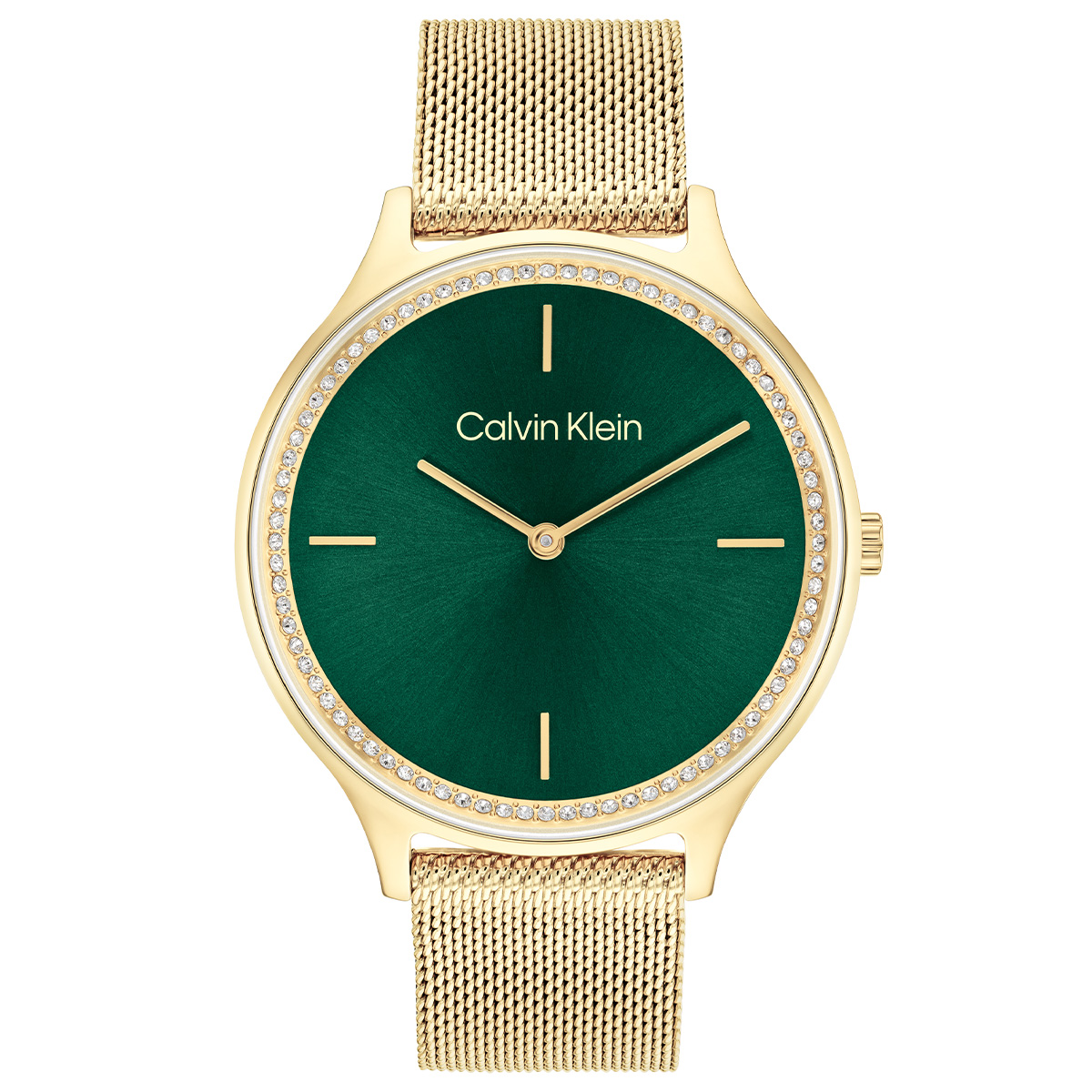 Calvin Klein CK25100005 Kadın Kol Saati