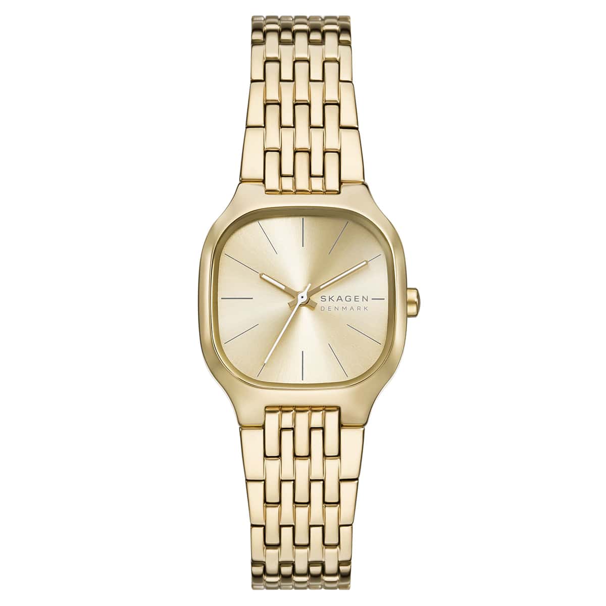 Skagen SKW3162 Kadın Kol Saati