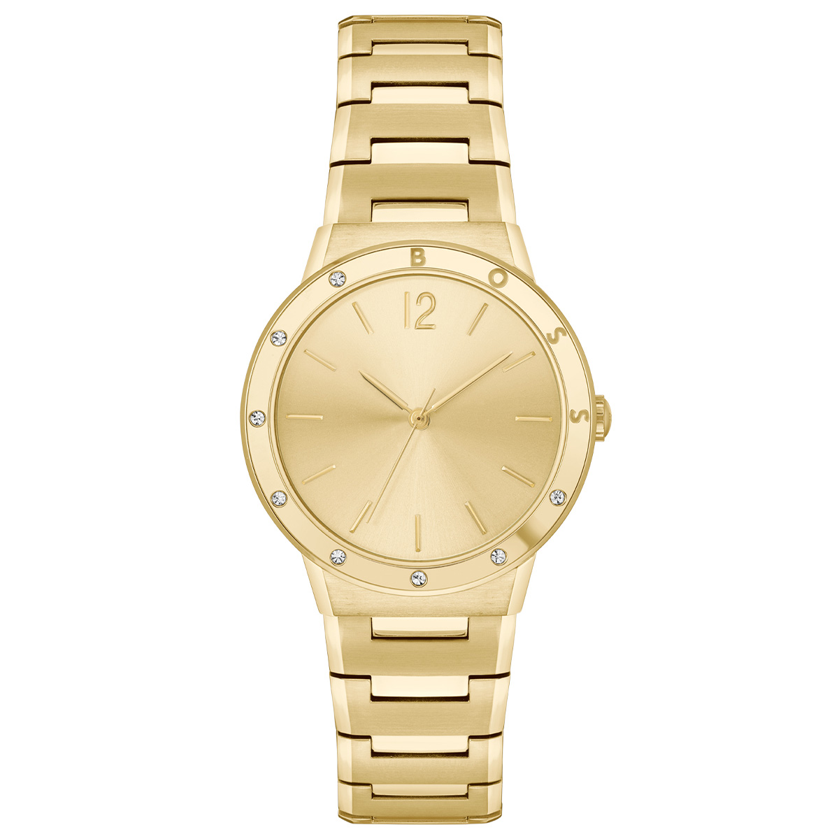 Boss Watches Breath HB1502715