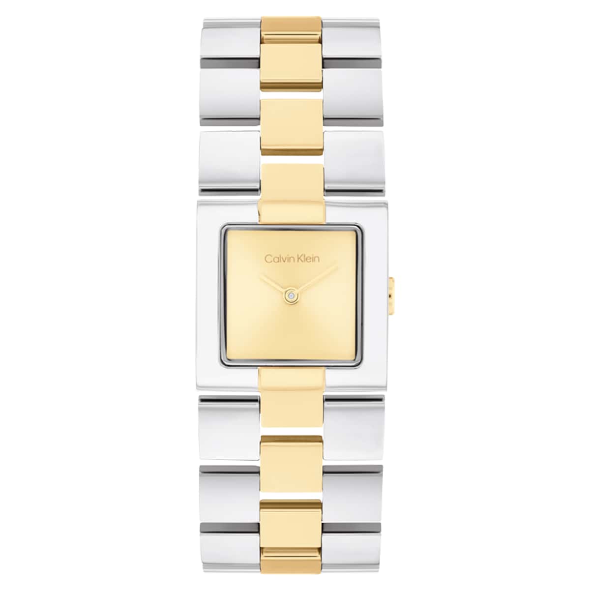 Calvin Klein CK25100115 Kadın Kol Saati