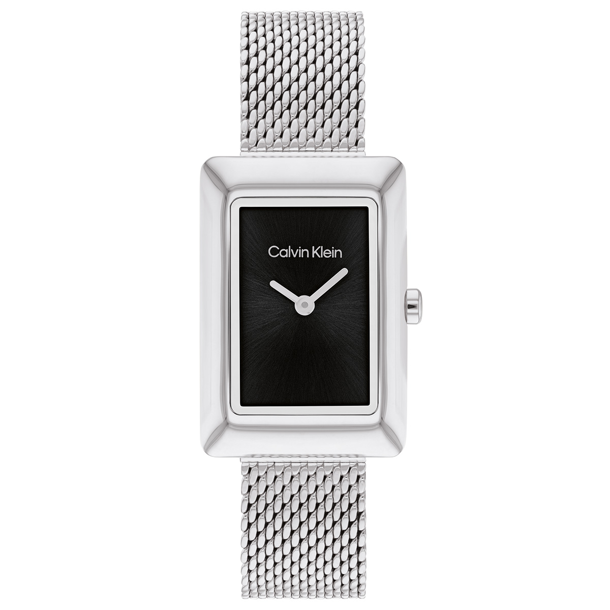 Calvin Klein CK25200399 Kadın Kol Saati