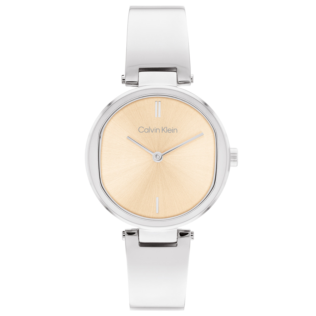 Calvin Klein CK25200311 Kadın Kol Saati