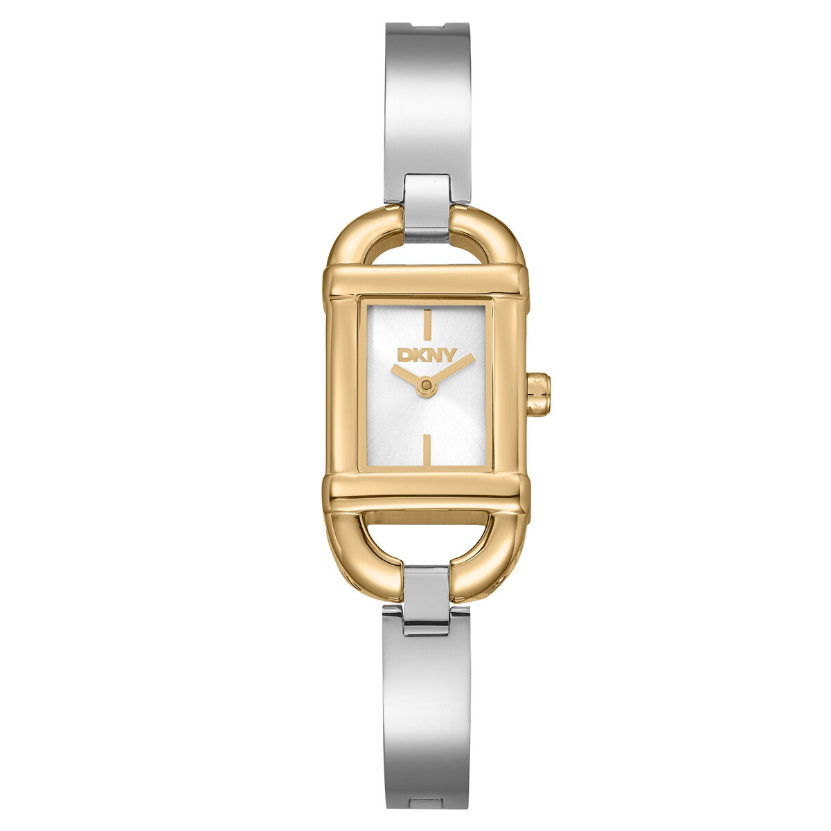 DKNY DK1L179M0255 Kadın Kol Saati