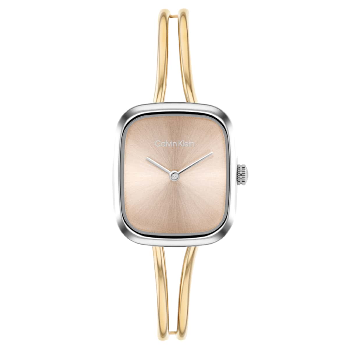 Calvin Klein CK25100134 Kadın Kol Saati