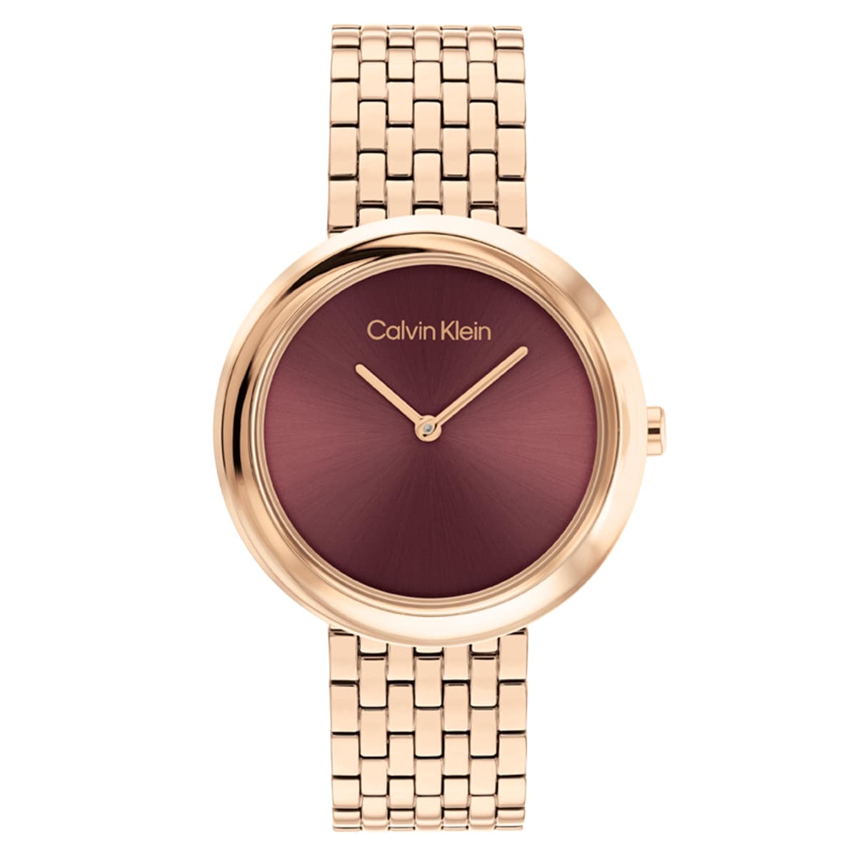 Calvin Klein CK25100067 Kadın Kol Saati