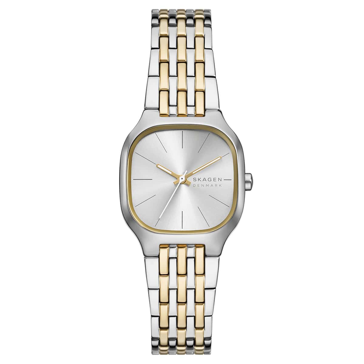 Skagen SKW3160 Kadın Kol Saati