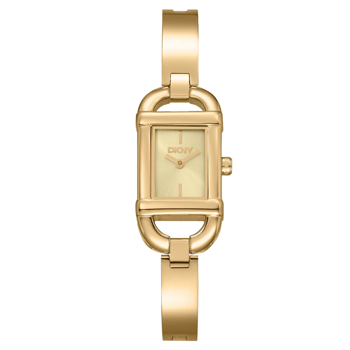 DKNY DK1L179M0235 Kadın Kol Saati
