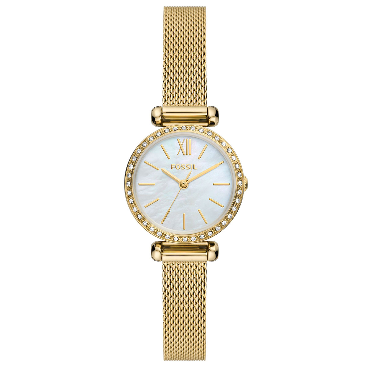 Fossil Tillie Mini FBQ3898